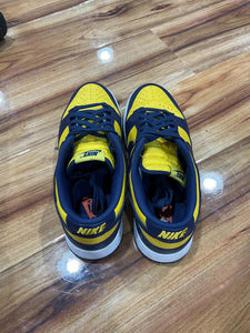 Nike Dunk Low Michigan (2021)