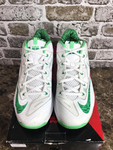 Load image into Gallery viewer, Nike LeBron 11 Low Easter